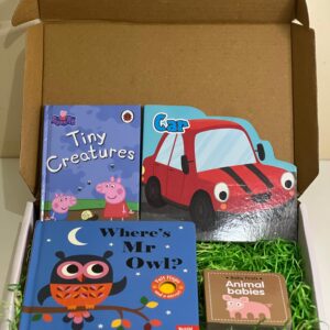 Mini Book Box - Babies